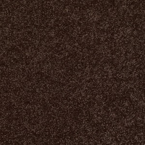 Palmdale I - Mountain Path - Brown 17.6 oz. Polyester Texture Installed Carpet