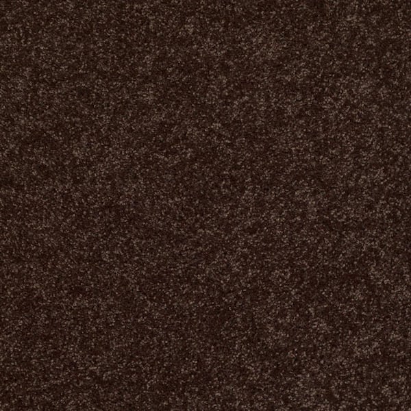 TrafficMaster Palmdale I - Mountain Path - Brown 17.6 oz. Polyester Texture Installed Carpet