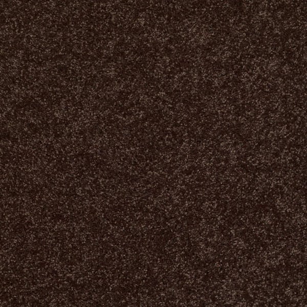 TrafficMaster Palmdale I - Mountain Path - Brown 15 ft. 17.6 oz. Polyester Texture Installed Carpet