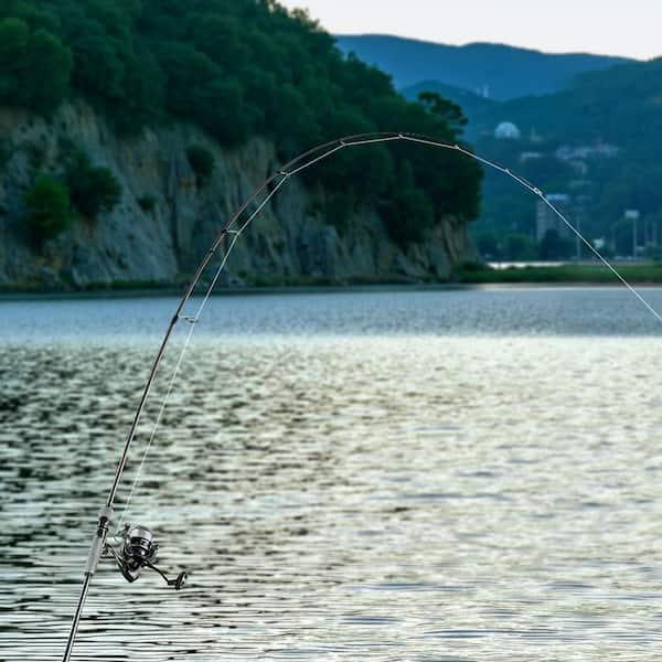 SKYSHALO Rod and Fishing Reel Combo 7 ft. 2-Piece Rods 7 Plus 1 Ball Bearings, EVA Handle, Steel Ceramic Guides, IM7 Carbon Fiber SKYSHALO Rod and Fishing Reel Combo 7 ft. 2-Piece Rods 7 Plus 1 Ball Bearings, EVA Handle, Steel Ceramic Guides, IM7 Carbon Fiber