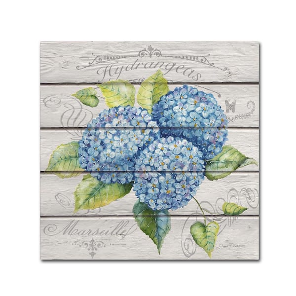 Trademark Fine Art 18 in. x 18 in. Blue Hydrangeas by Jean Plout Floater Frame Nature Wall Art
