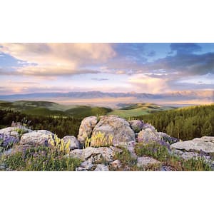Sunrise View - Weather Proof Scene for Window Wells or Wall Mural - 120 in. x 60 in.