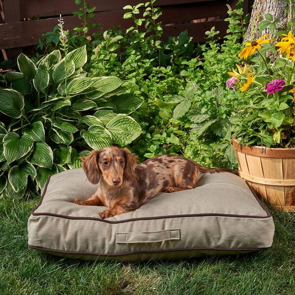 outdoor dogbeds