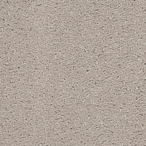 8 in. x 8 in. Pattern Carpet Sample - Pretty Penny -Color Mist