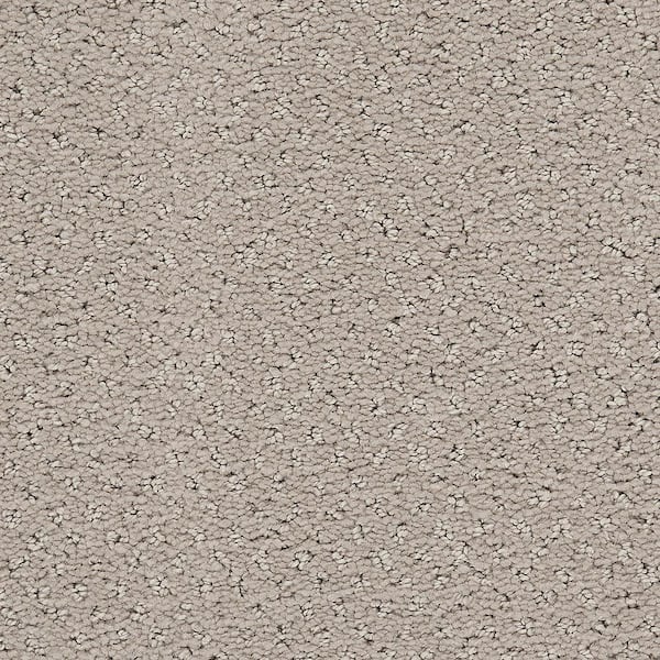 8 in. x 8 in. Pattern Carpet Sample - Pretty Penny -Color Mist