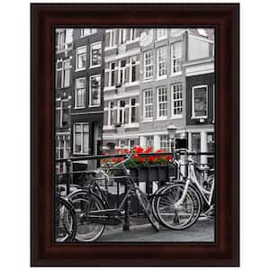 Coffee Bean Brown Picture Frame Opening Size 18 x 24 in.