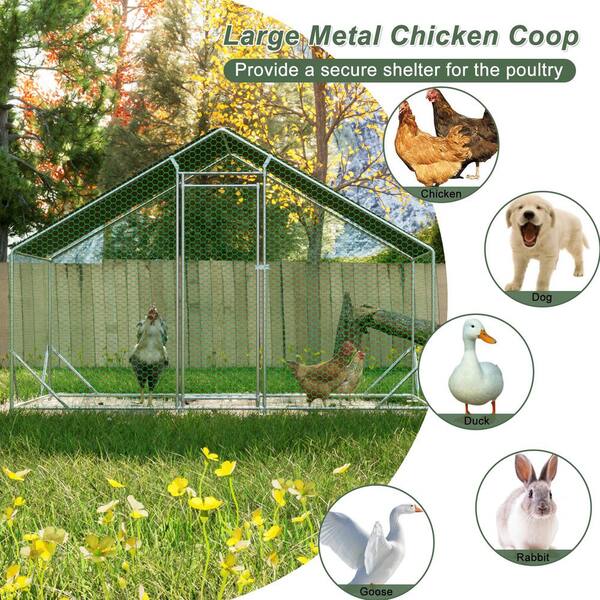 Siavonce Large Metal Chicken Coop Upgrade 3 Support Steel