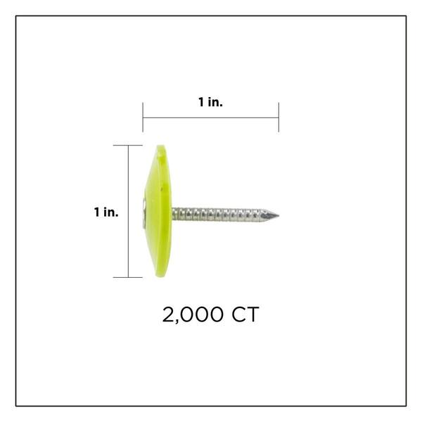 1 in. Electro Galvanized Ring Shank Nail with Plastic Cap (2000-Count)