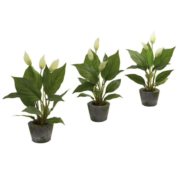 Nearly Natural Artificial Spathyfillum with Cement Planter (Set of 3)