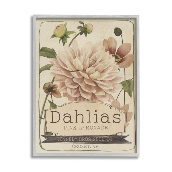 Stupell Industries Pink Lemonade Dahlias Vintage Floral Seed Packet By Studio W Framed Print Nature Texturized Art 11 in. x 14 in.