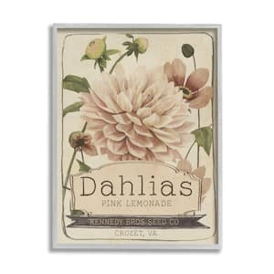 Pink Lemonade Dahlias Vintage Floral Seed Packet By Studio W Framed Print Nature Texturized Art 16 in. x 20 in.