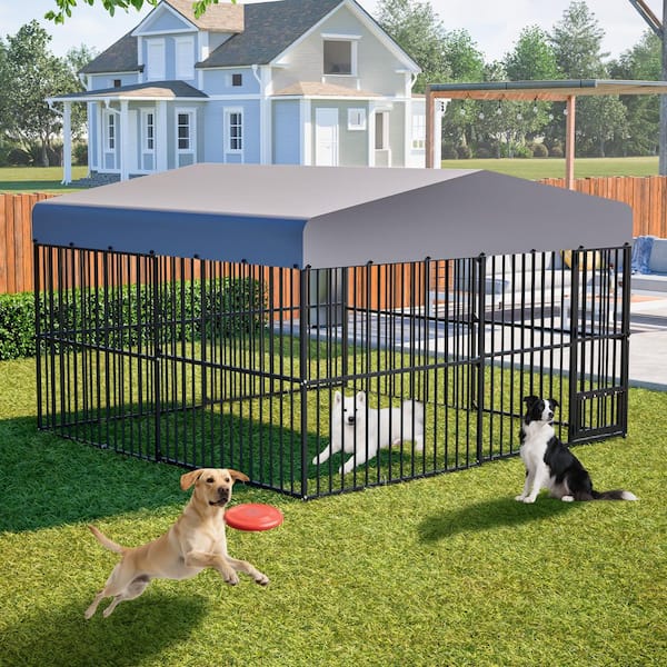 9.7 ft. x 9.7 ft. Outdoor Dog Cage Pet Fence with Cover and Rotating Feeding Door