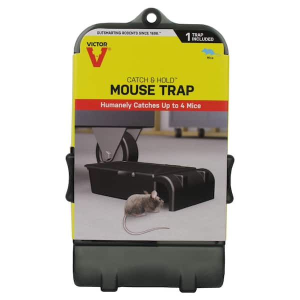 planter Flawless temperature Victor Catch and Hold No-Touch Humane Outdoor and Indoor Mouse Trap M333 -  The Home Depot