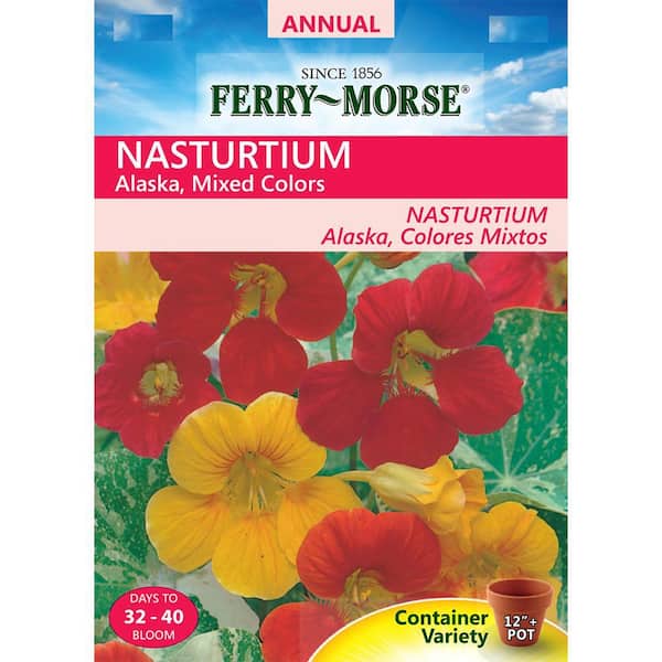 Ferry-Morse Nasturtium Alaska Flower Seed