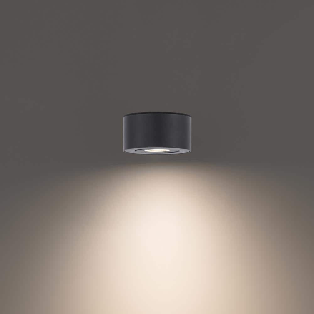 Black Aluminum 5" LED Indoor/Outdoor Flush Mount