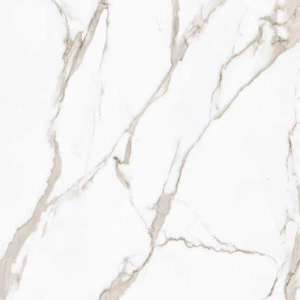 Regalia 4 in. x 4 in. Matte Beige Porcelain Veining Tile Sample (0.14 sq. ft.)
