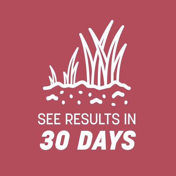 zenith zoysia grass seed 50 lb bag