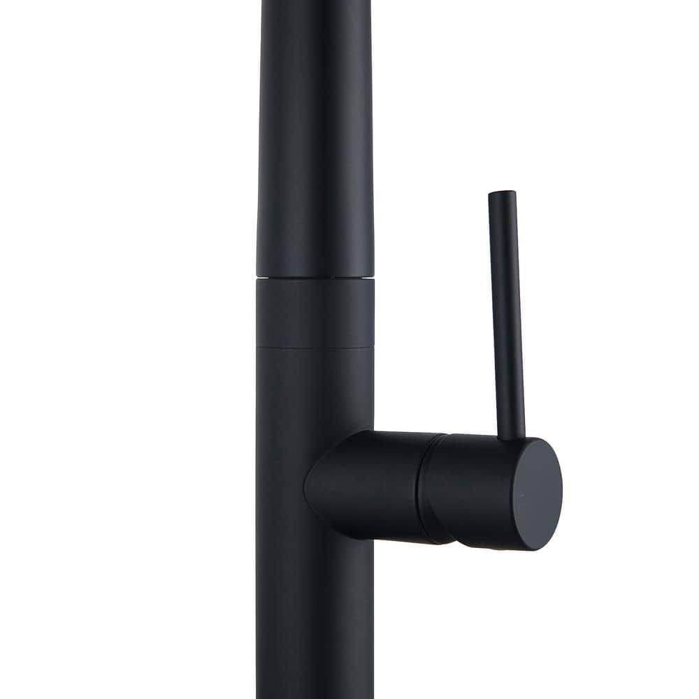 Matte Black Pull-Down Single Handle Kitchen Faucet with Spray