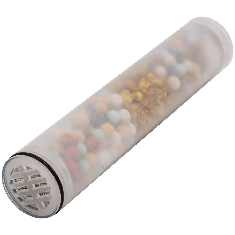 Satin Nickel Multi-Function Handheld Shower with Filter and Wall Mount