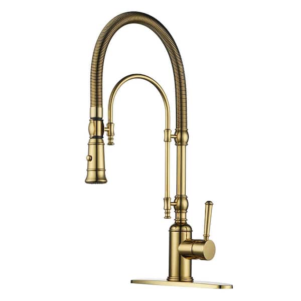 ALEASHA Single Handle Pull Down Sprayer Kitchen Faucet in Brushed Gold