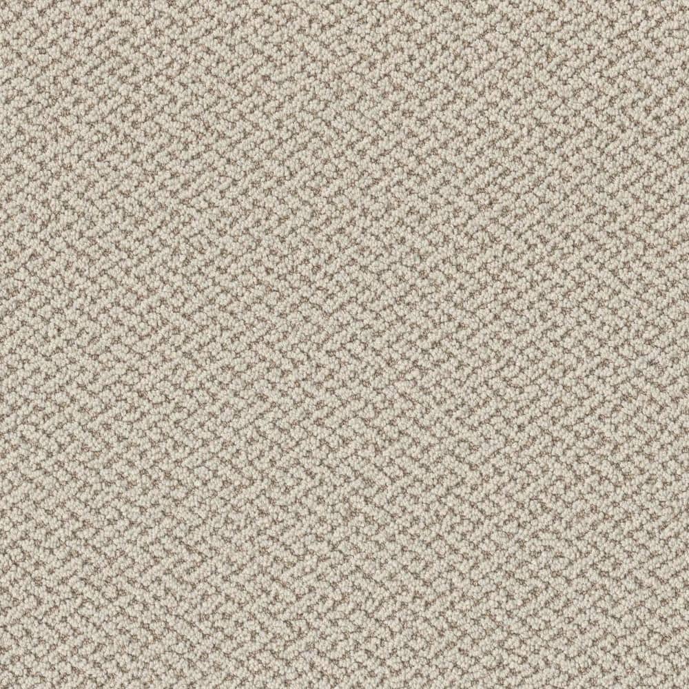 8 in. x 8 in. Loop Carpet Sample - Ballad Bliss - Color Harmony price history on PriceWatchPro