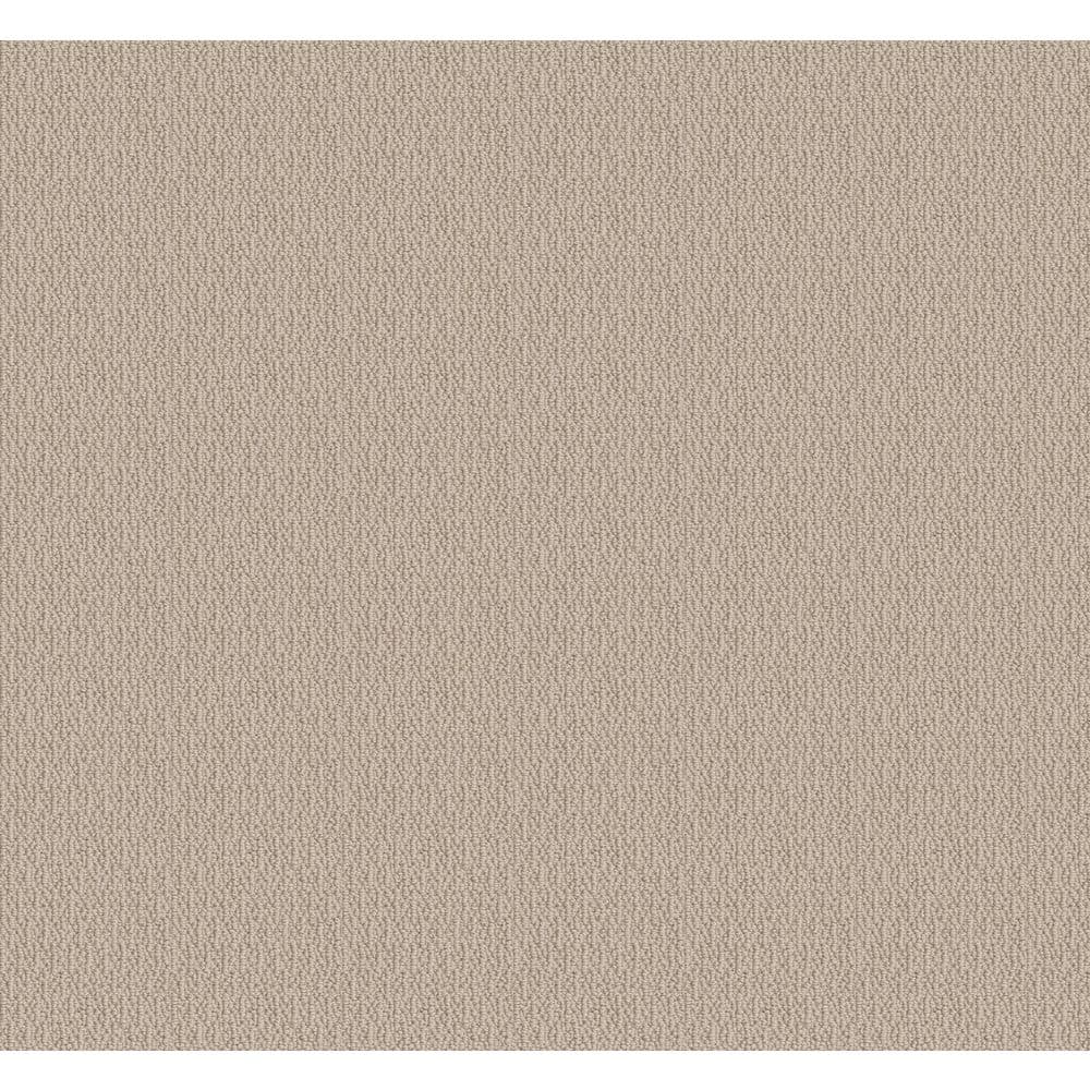 8 in. x 8 in. Loop Carpet Sample - Alluring Abodes - Color Ecru price history on PriceWatchPro