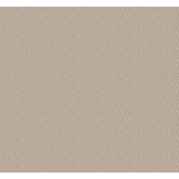 8 in. x 8 in. Loop Carpet Sample - Alluring Abodes - Color Ecru