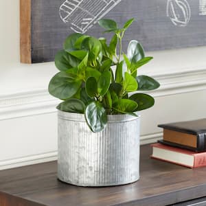 13 in. H Indoor Outdoor Eucalyptus Artificial Plant with Realistic Leaves and Black Round Pot