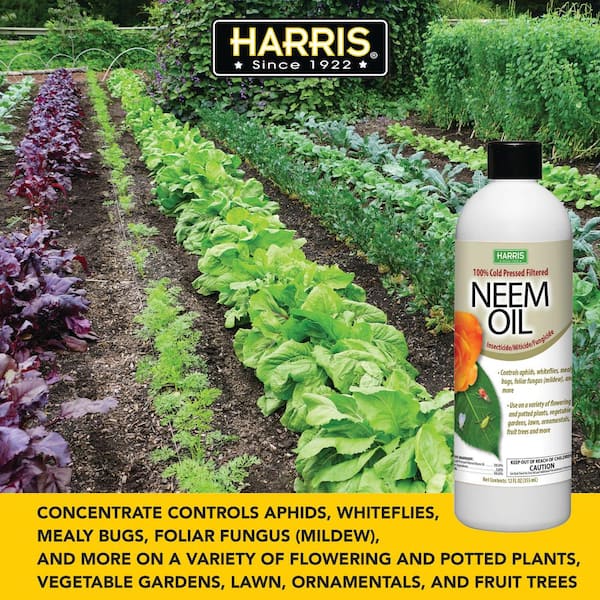  Harris Aerosol de aceite de neem para plantas