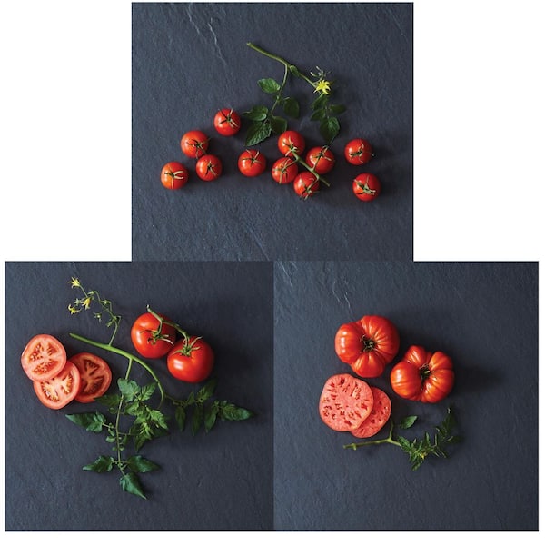 Burpee 1 Pt. Assorted Tomatoes with 2 Slicing, 2 Heirloom and 2