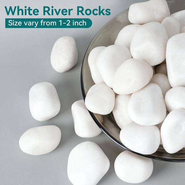 STONE  ショップ袋 (白)6枚セット Justincity 14.33 in. x 11.1 in. x 2.95 in. Large White Polished