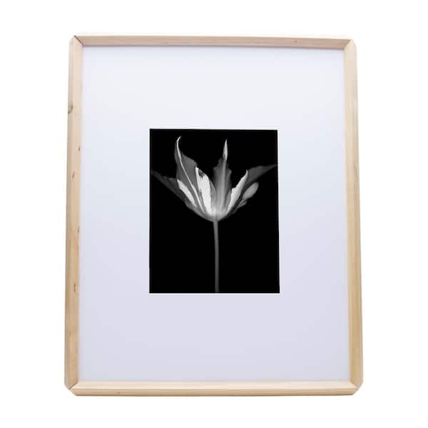 Mikasa 21 in. x 17 in. Wood Matted Picture Frame Holds 8 in. x 10 in. Photo Natural