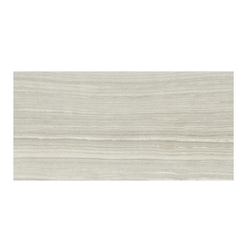 Eramosa Silver 12'' x 24'' Matte Porcelain Tile