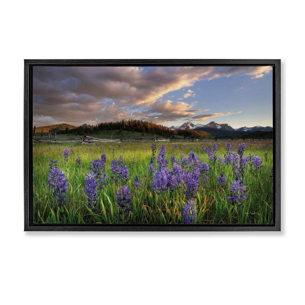 Stupell Industries Lavender Bloom Meadows by Alan Majchrowicz Black ...