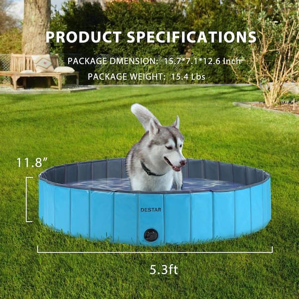 Plastic dog retailer pool