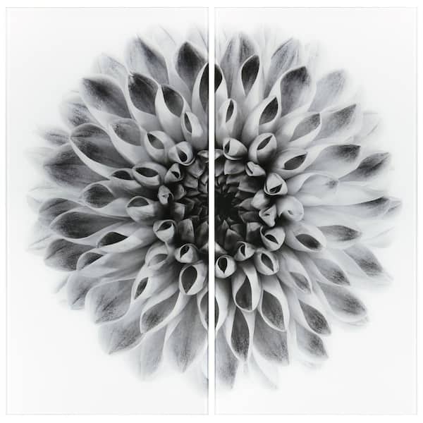 Empire Art Direct Dahlia AB Frameless Free Floating Tempered Glass Panel Graphic Flower Wall Art Set of 2, each 72" x 36"
