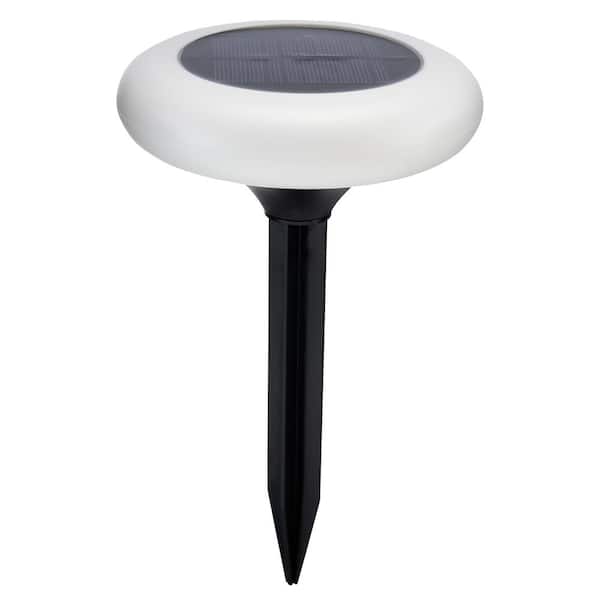 SKYLAR Multi-Color Solar Light