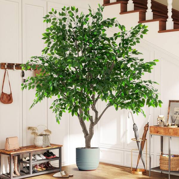 8.2 ft. Tall Artificial Ficus Tree with Leaves Wide Stable Cement-Filled Pot
