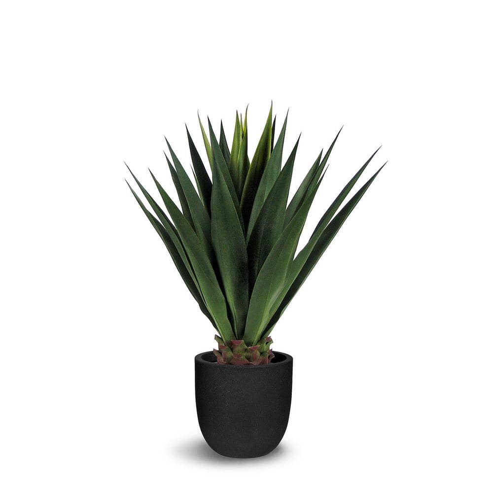 Botanical 3.3 ft. Artificial Agave in Pot