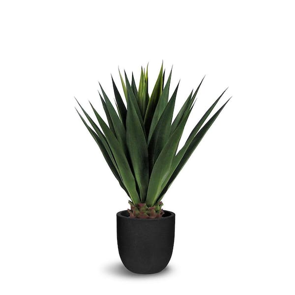 LE PRESENT IMPORTATEURS Botanical 3.3 ft. Artificial Agave in Pot
