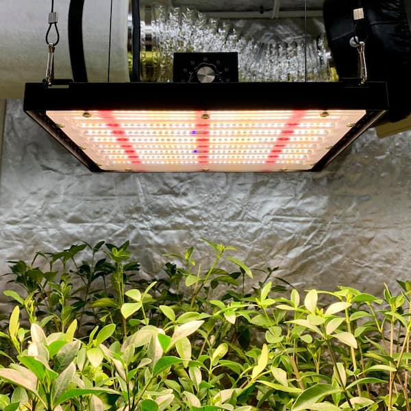 Honeywell 9-in 1-Light White Full Spectrum LED Grow Light Kit in the Grow  Light Fixtures & Kits department at