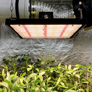 150-Watt LED Plant Grow Light Full Spectrum Heavy-Duty 4000K plus 3000K blue 405nm IR 730nm Red 660nm Warm Daylight