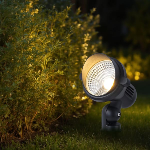 C Cattleya 600 Lumens Low-voltage Hardwired Black Aluminum