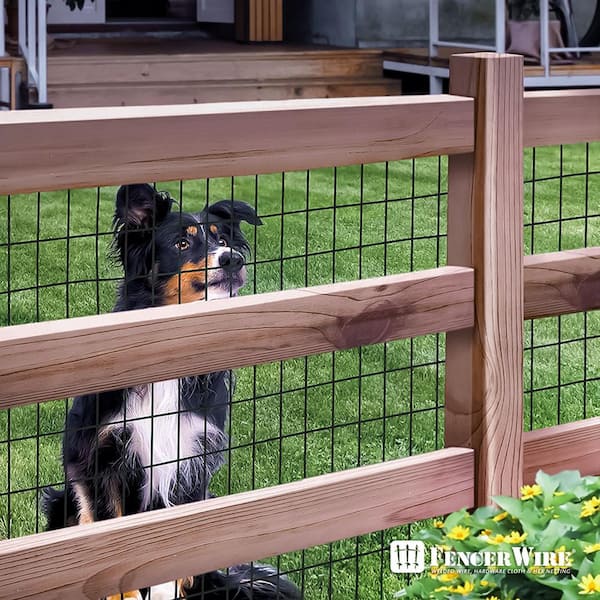 Dog Fence Black PVC Coated Welded Wire Fence 36 X 50 In