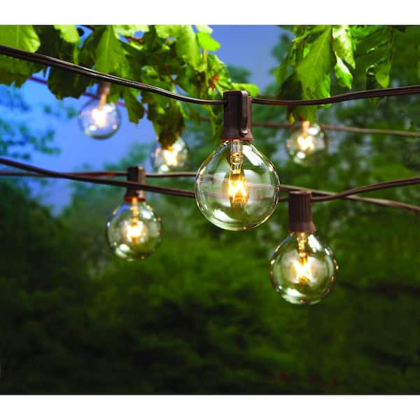 12 ft. Line Voltage 12-Light Indoor/Outdoor Large G50 Incandescent Cafe Clear String Lights (2-Pack)