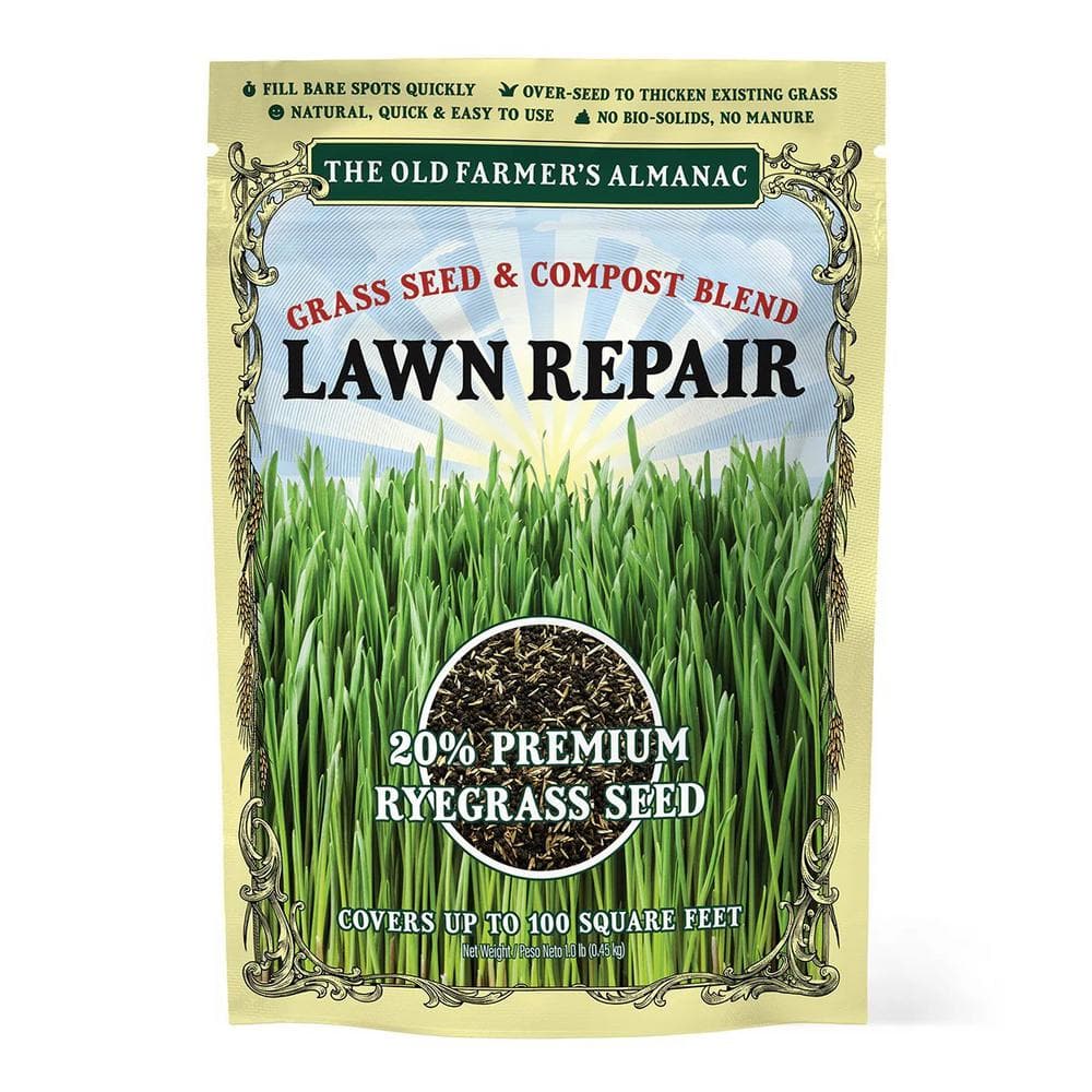 The Old Farmers Almanac Turf Restore - 1 lbs. - Perennial Rye Grass Seed w