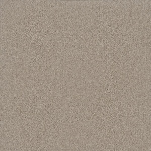 Misty Meadows I- Glenrock Beige - 45 oz. SD Polyester Texture Installed Carpet