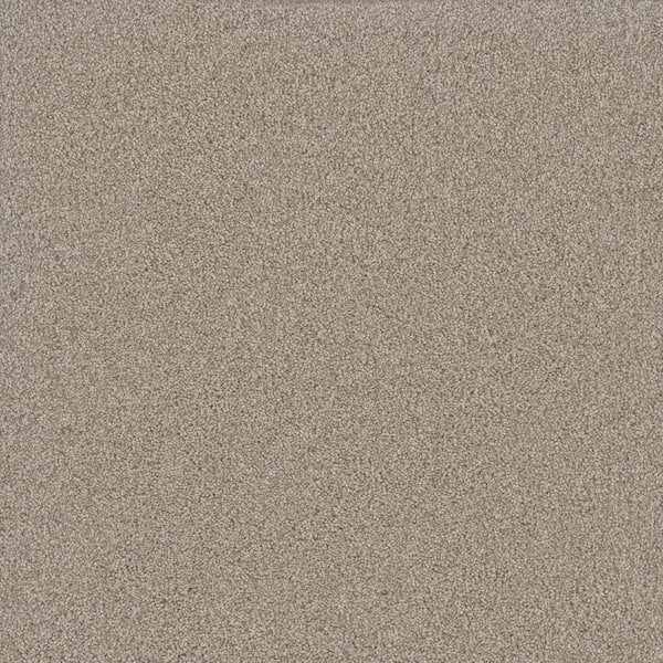 Lifeproof Misty Meadows I- Glenrock Beige - 45 oz. SD Polyester Texture Installed Carpet