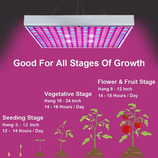 BeamBox 2-Pack Full Spectrum LED Grow Light with Red Blue White