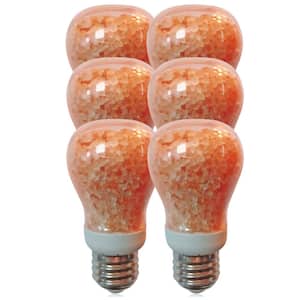 5-Watt Natural Salt Edison LED Night Light Bulb (6-Pack)